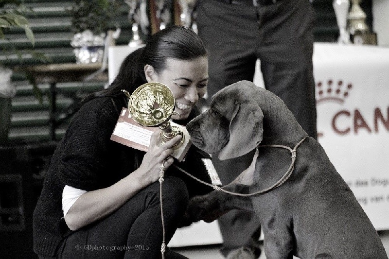 L'air du temps Des Terres De Romandor - 1ère Très prometteur Ring d'honneur Meilleur Baby femelle EuDDC 2015