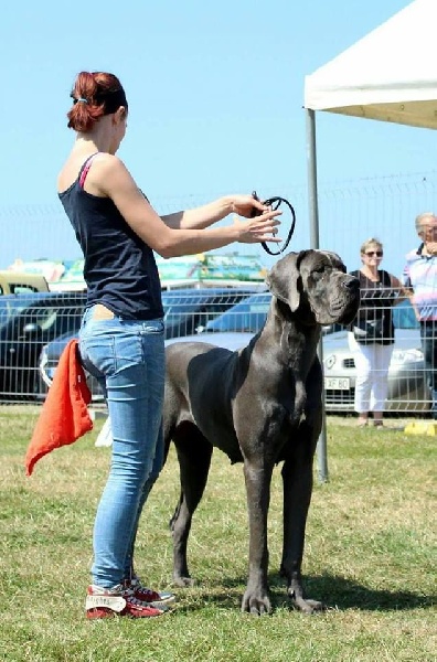 L'air du temps Des Terres De Romandor - 1ère Excellent meilleure jeune femelle bleue
