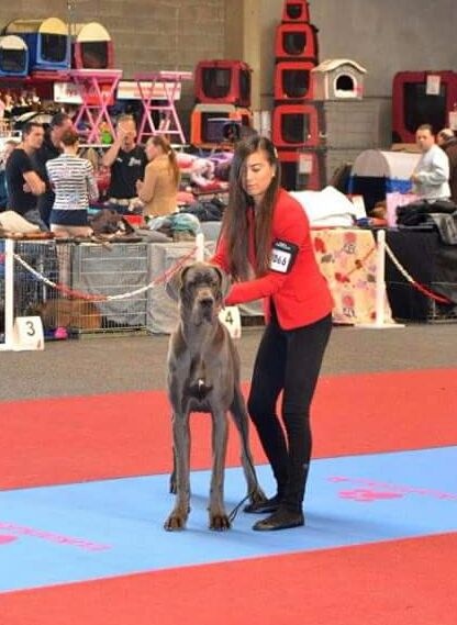 L'air du temps Des Terres De Romandor - 1ère TB Meilleur jeune Ring d'Honneur