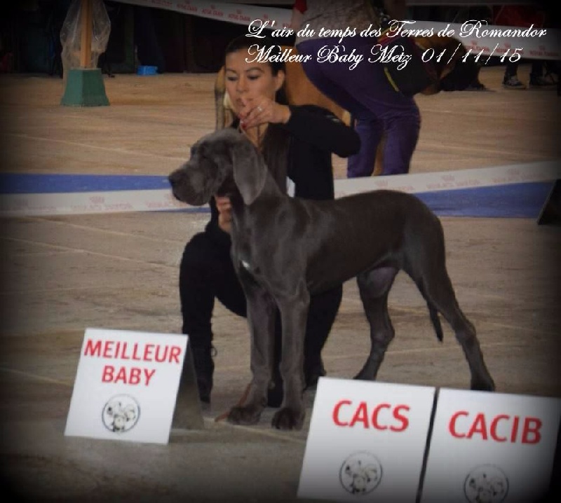L'air du temps Des Terres De Romandor - 1ère Très prometteur Ring d'honneur Meilleur Baby