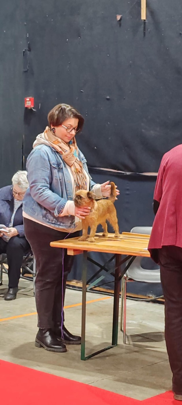 Viviane L’As Aux Mille Griffes