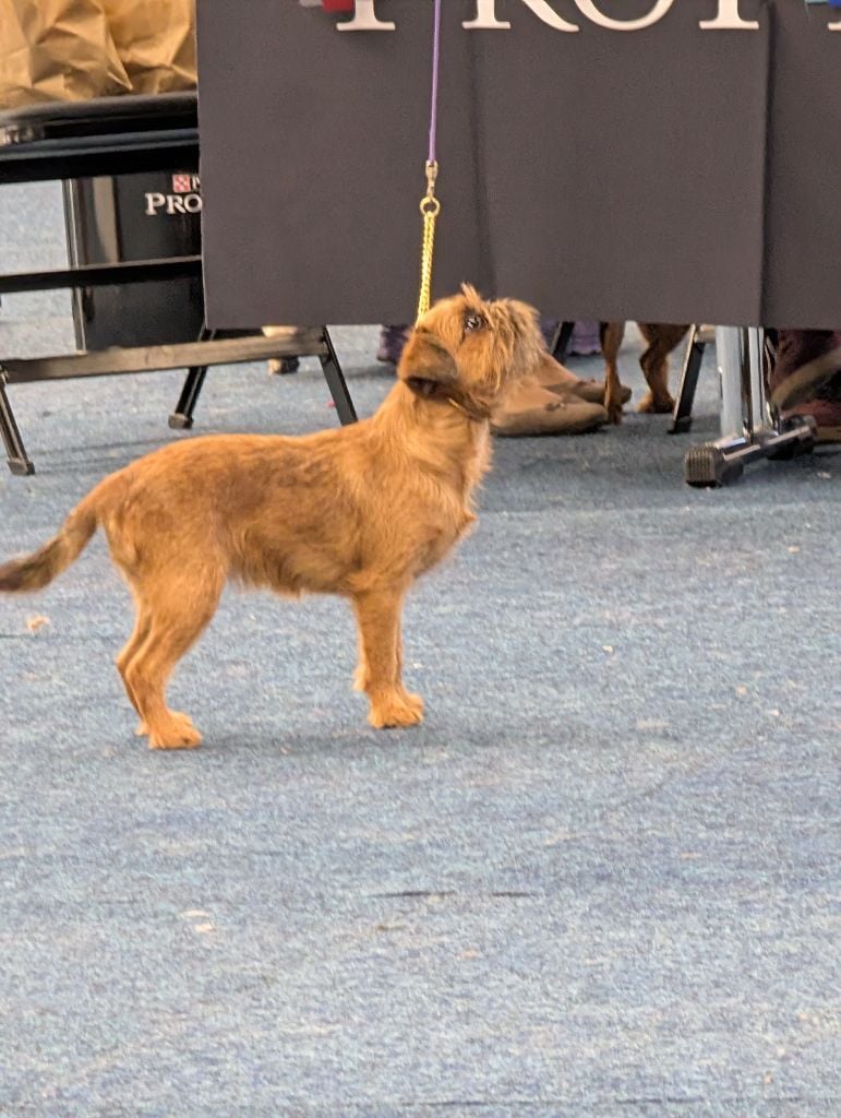 Publication : Of Circé's Shire