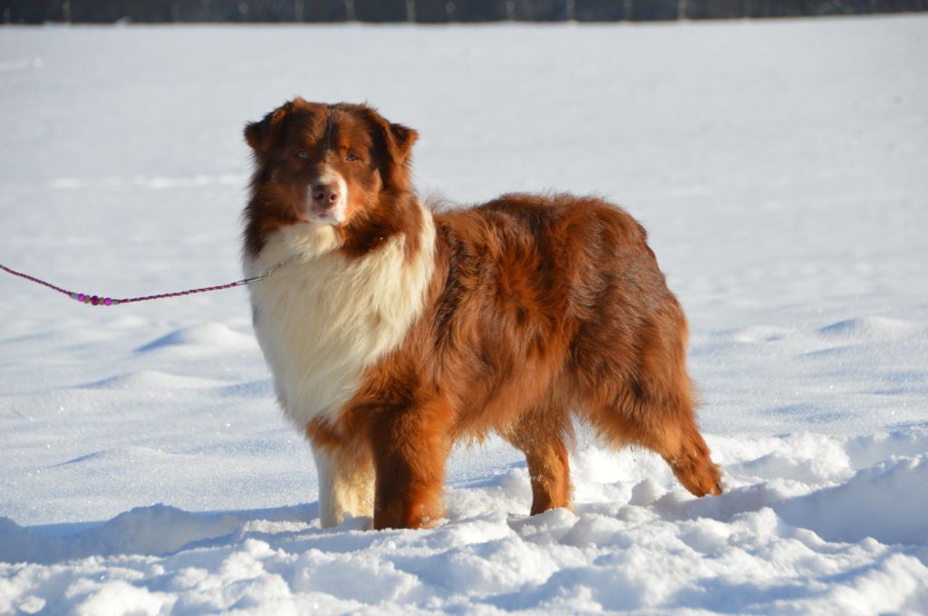 Publication : De La Rodge Creux