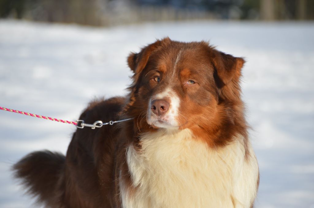 Publication : De La Rodge Creux