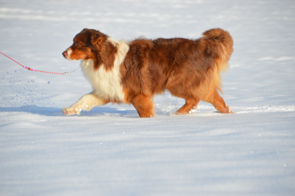 Publication : De La Rodge Creux