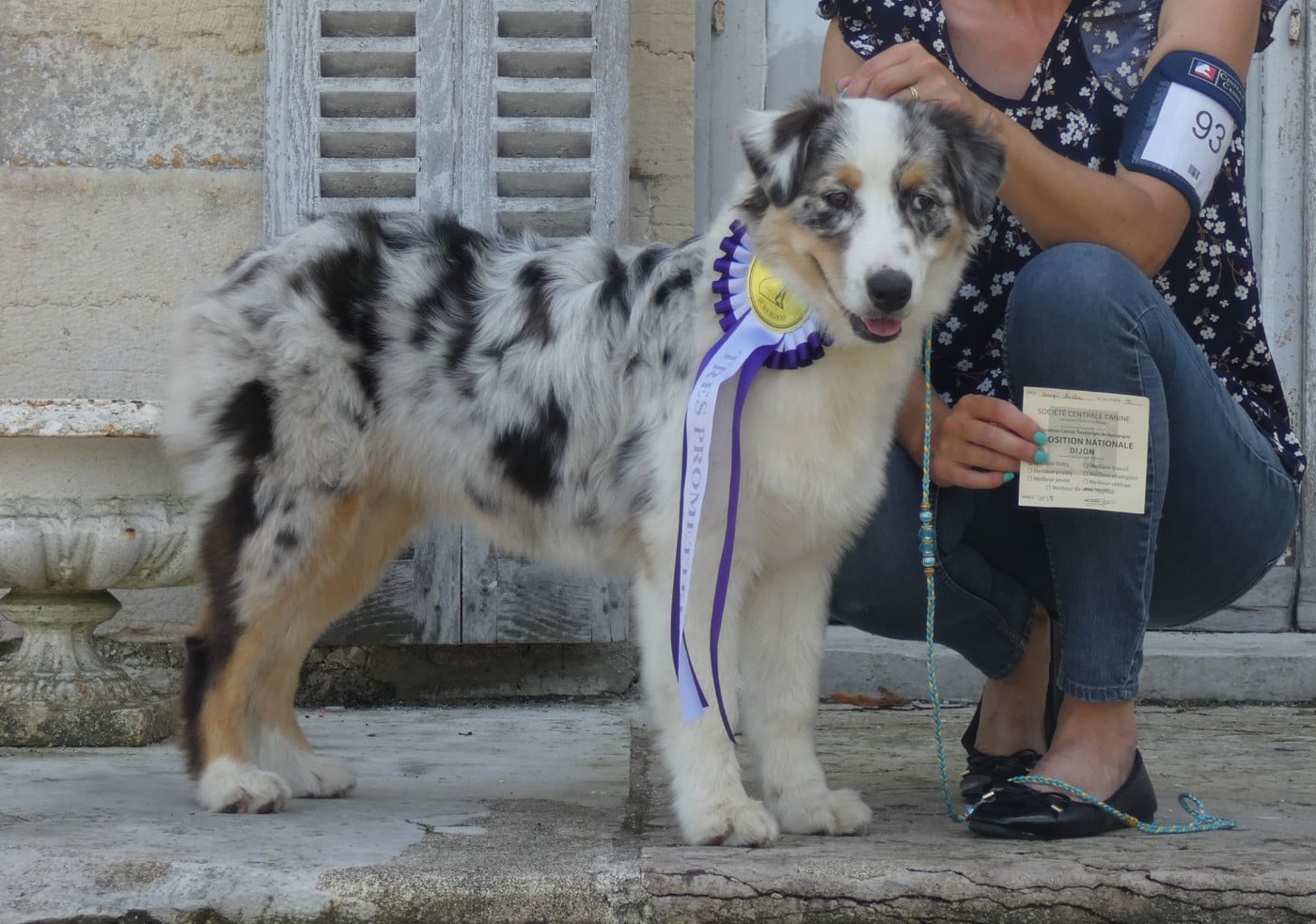 Aloy Des Gardiens De Tounfi