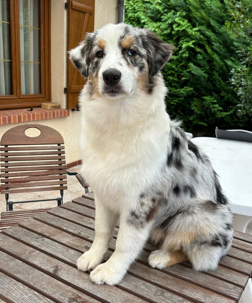 Publication : Des Gardiens De Tounfi Auteur : Delphine SEVERIN