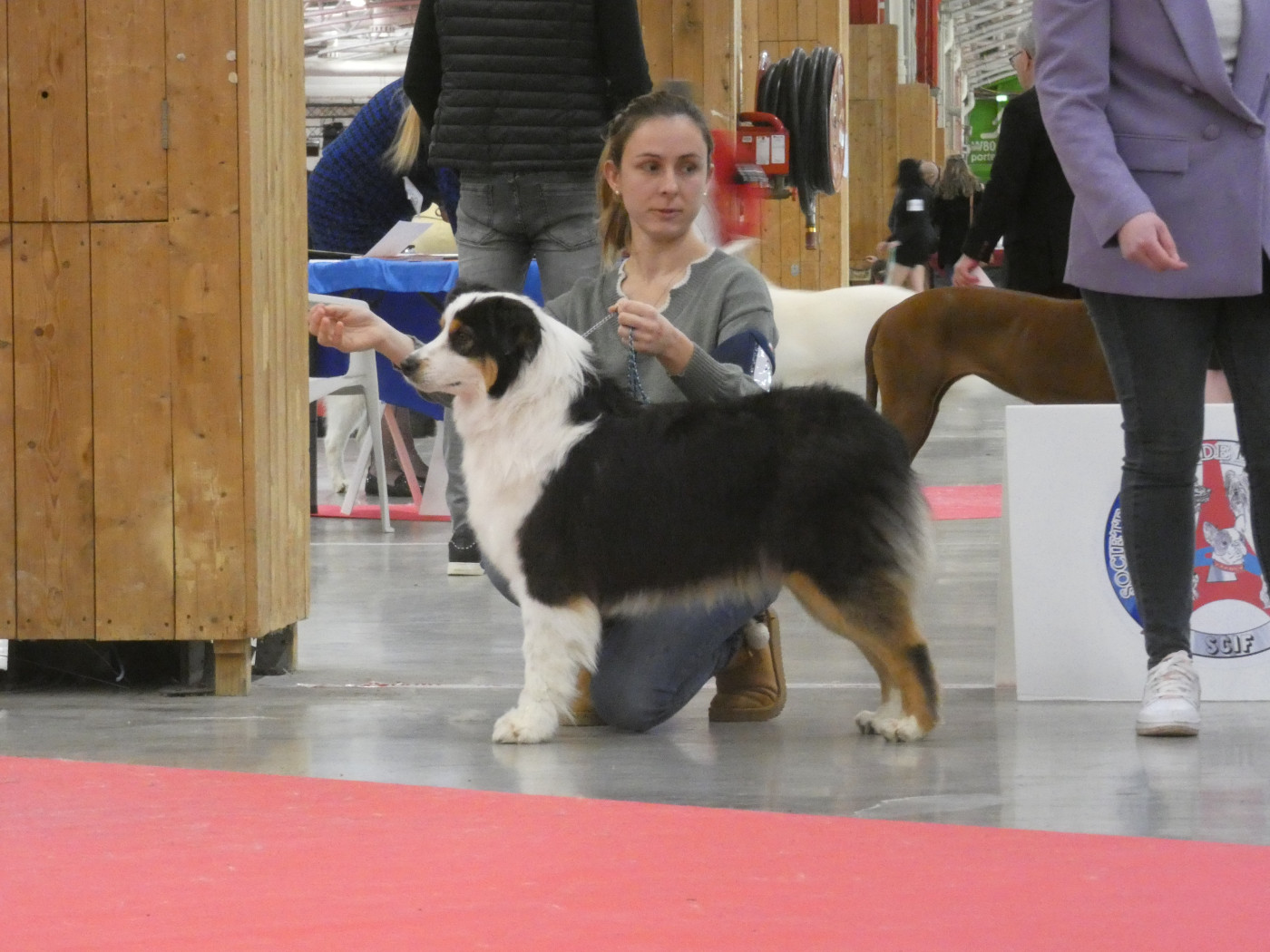 Abbi Des Gardiens De Tounfi - Excellent en classe jeune