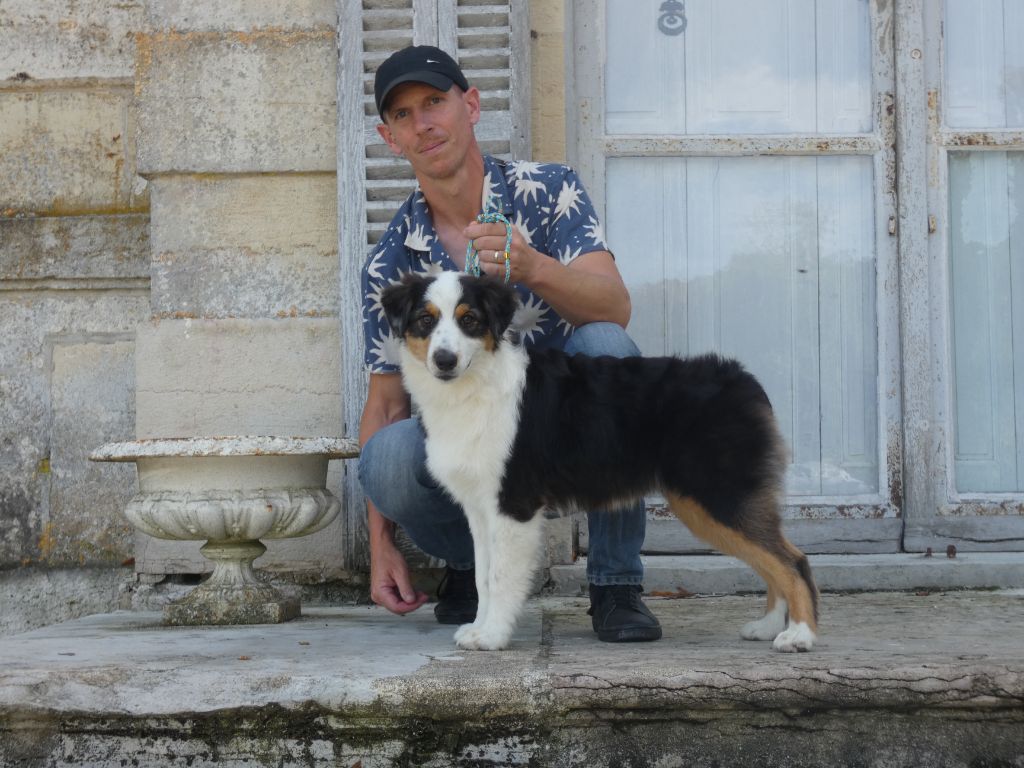 Abbi Des Gardiens De Tounfi - 3ème très prometteur