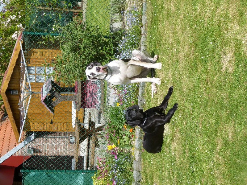 Publication : Domaine Di Matcho Auteur : Mulan à 4 mois