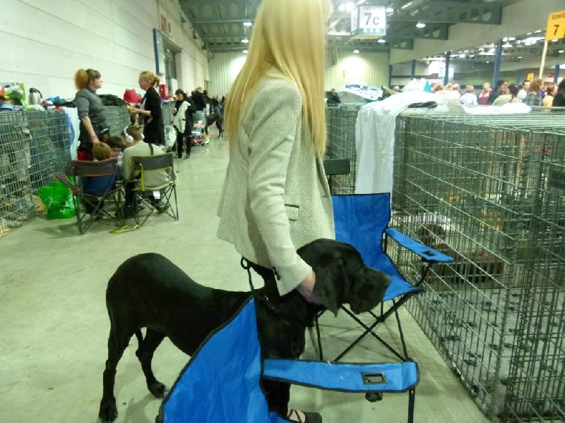 Publication : Domaine Di Matcho Auteur : Mulan à 4 mois