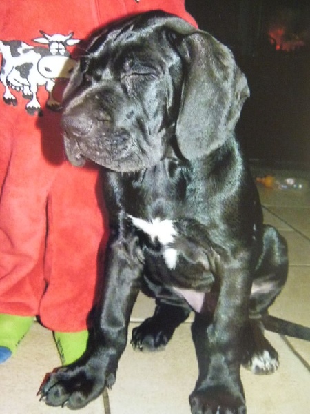 Publication : Domaine Di Matcho Auteur : Mulan à 4 mois