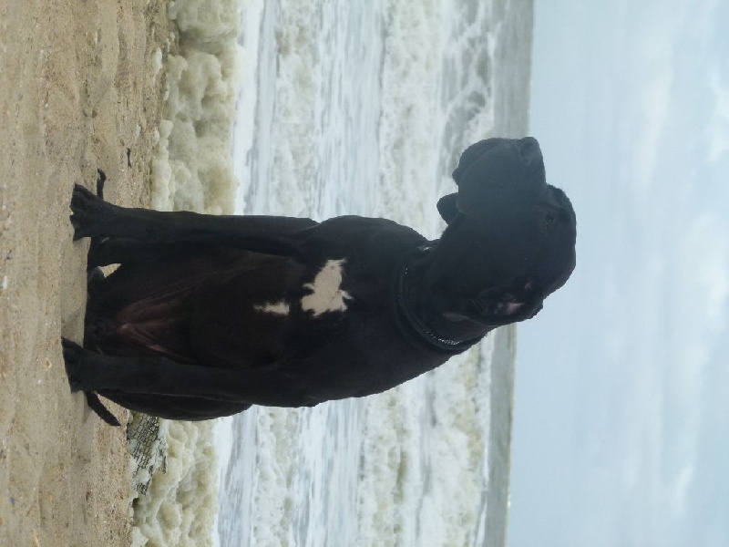 Publication : Domaine Di Matcho Auteur : Mulan à 4 mois