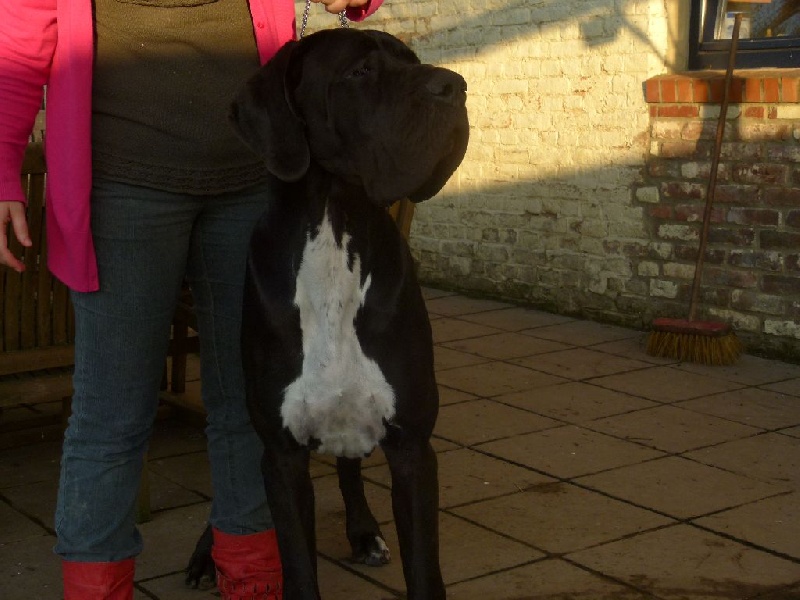 Publication : Domaine Di Matcho Auteur : goosens renè