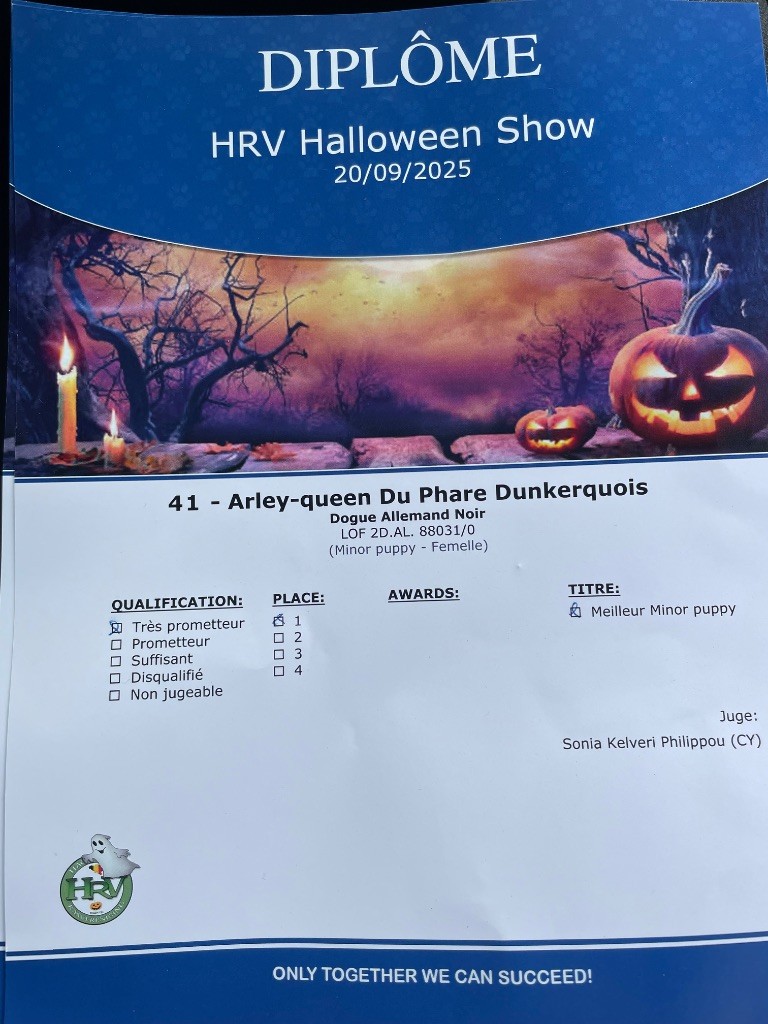 Arley-queen Du Phare Dunkerquois - 1er très prometteur , Best Puppy