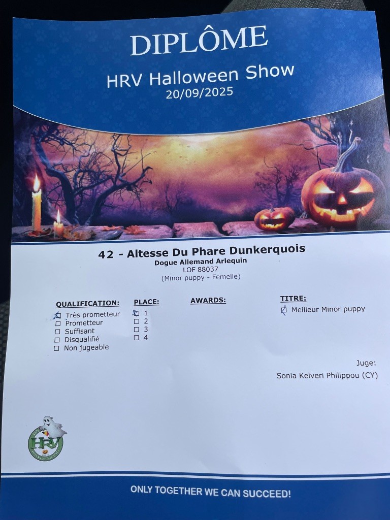 Altesse Du Phare Dunkerquois - 1er très prometteur, Best Puppy , Ring d honneur