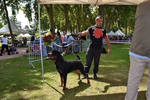 Publication : Des Flammes De La Nuit