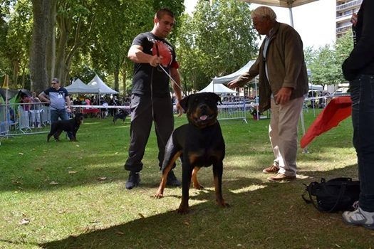 Publication : Des Flammes De La Nuit