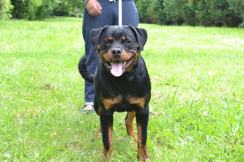 Publication : Des Flammes De La Nuit