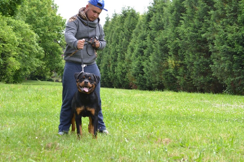 Publication : Des Flammes De La Nuit