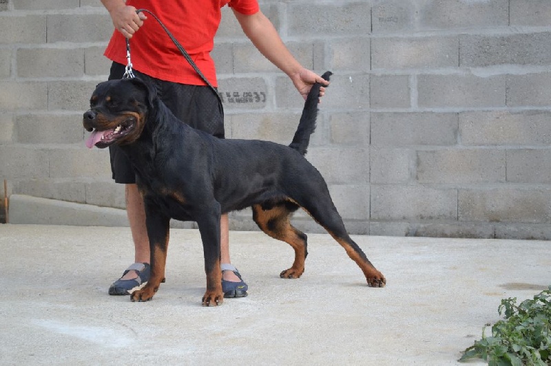 Publication : Des Flammes De La Nuit