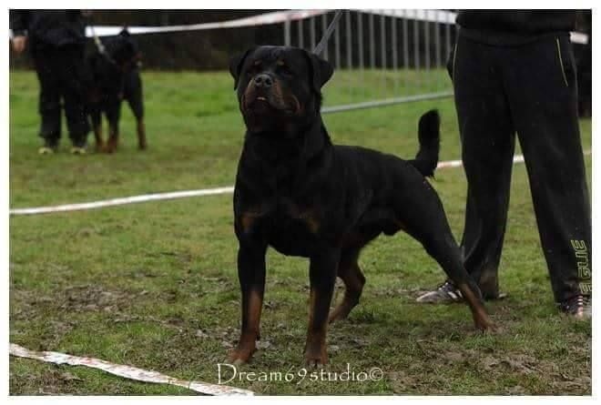 Publication : Des Flammes De La Nuit