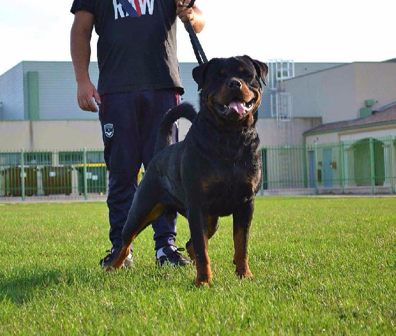 Publication : Des Flammes De La Nuit