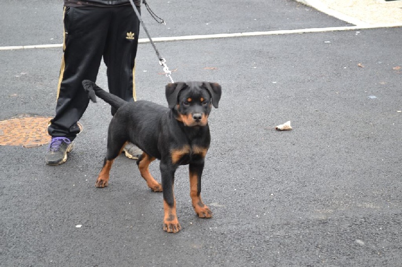 Publication : Des Flammes De La Nuit