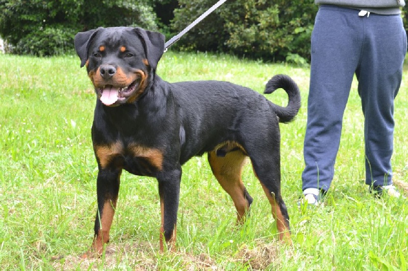 Publication : Des Flammes De La Nuit