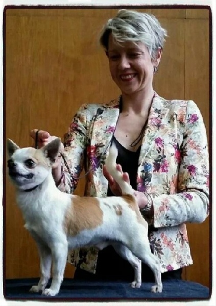 CH. zoya's kingdom Nice man (dit issou) ch.inter multi ch. - CAC/CACIB / BOB