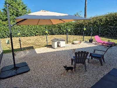 Pension canine petits chiens