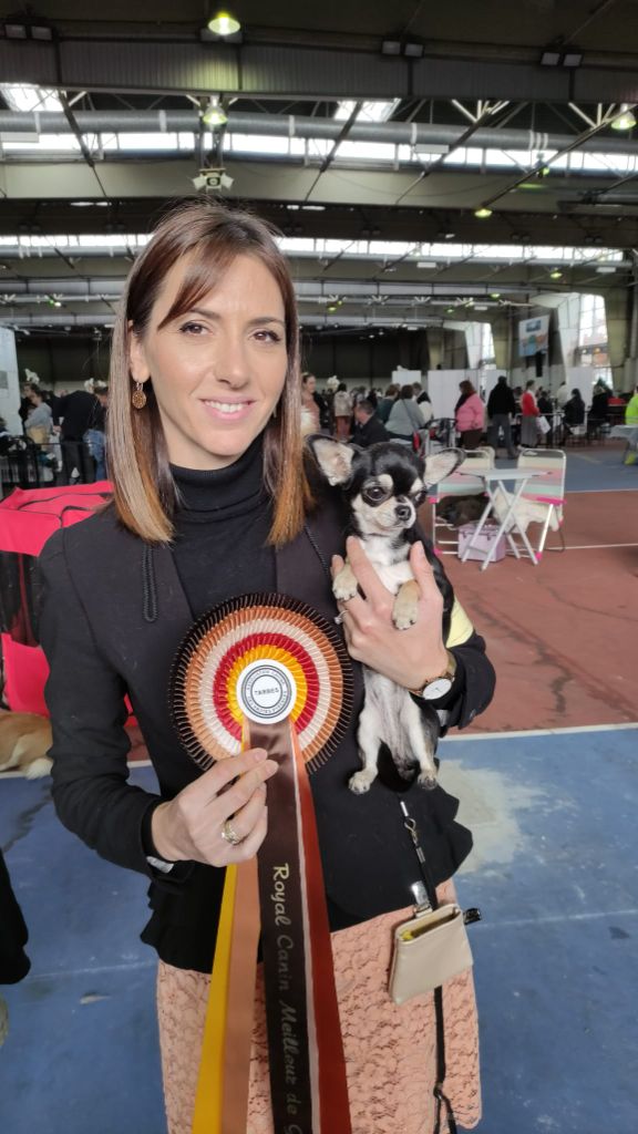 Scarlett Of Angel For Ever - 1e excellent - Meilleur jeune