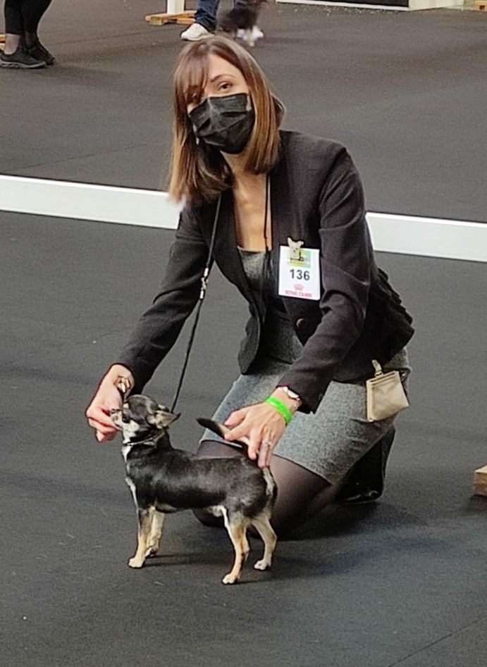 Saiko Of Angel For Ever - 3e très prometteur