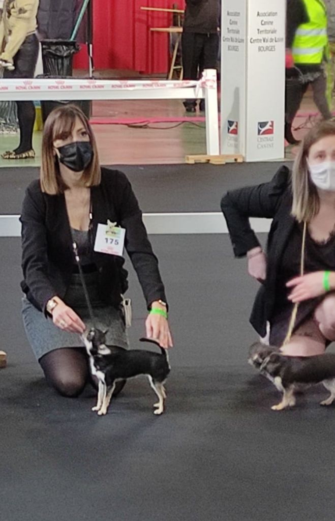 Scarlett Of Angel For Ever - Très prometteur