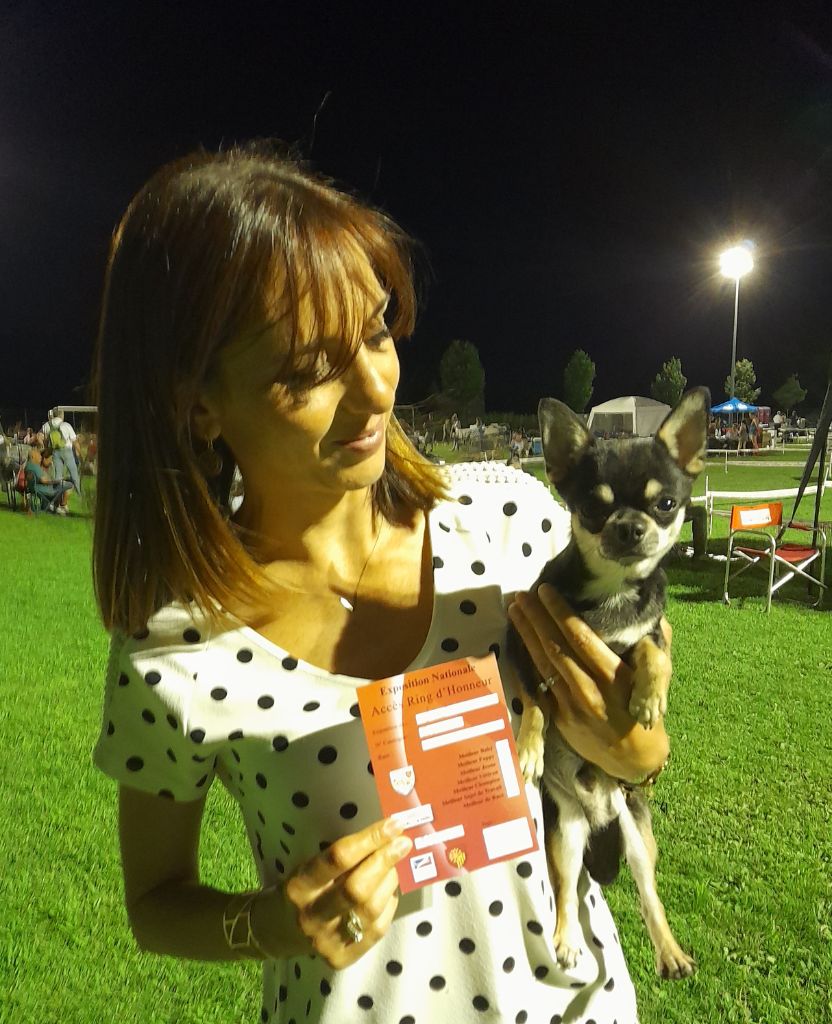 Saiko Of Angel For Ever - 1e excellent MEILLEUR JEUNE