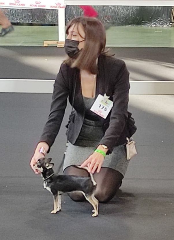 Scarlett Of Angel For Ever - 3e très prometteur