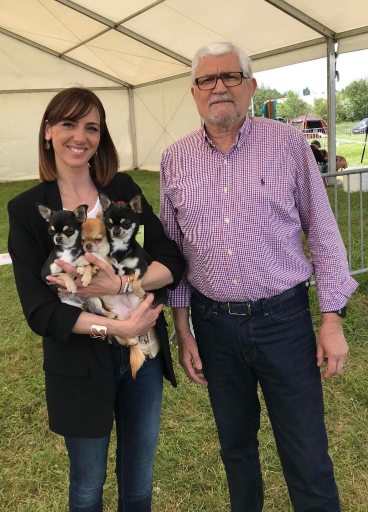 Scarlett Of Angel For Ever - 1e excellent