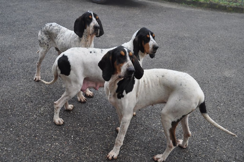 Publication : Du Plateau De La Semine