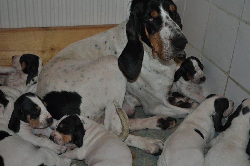 Publication : Du Plateau De La Semine