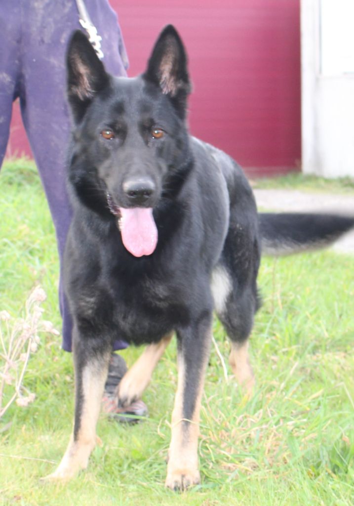 Publication : du Château d'Erros