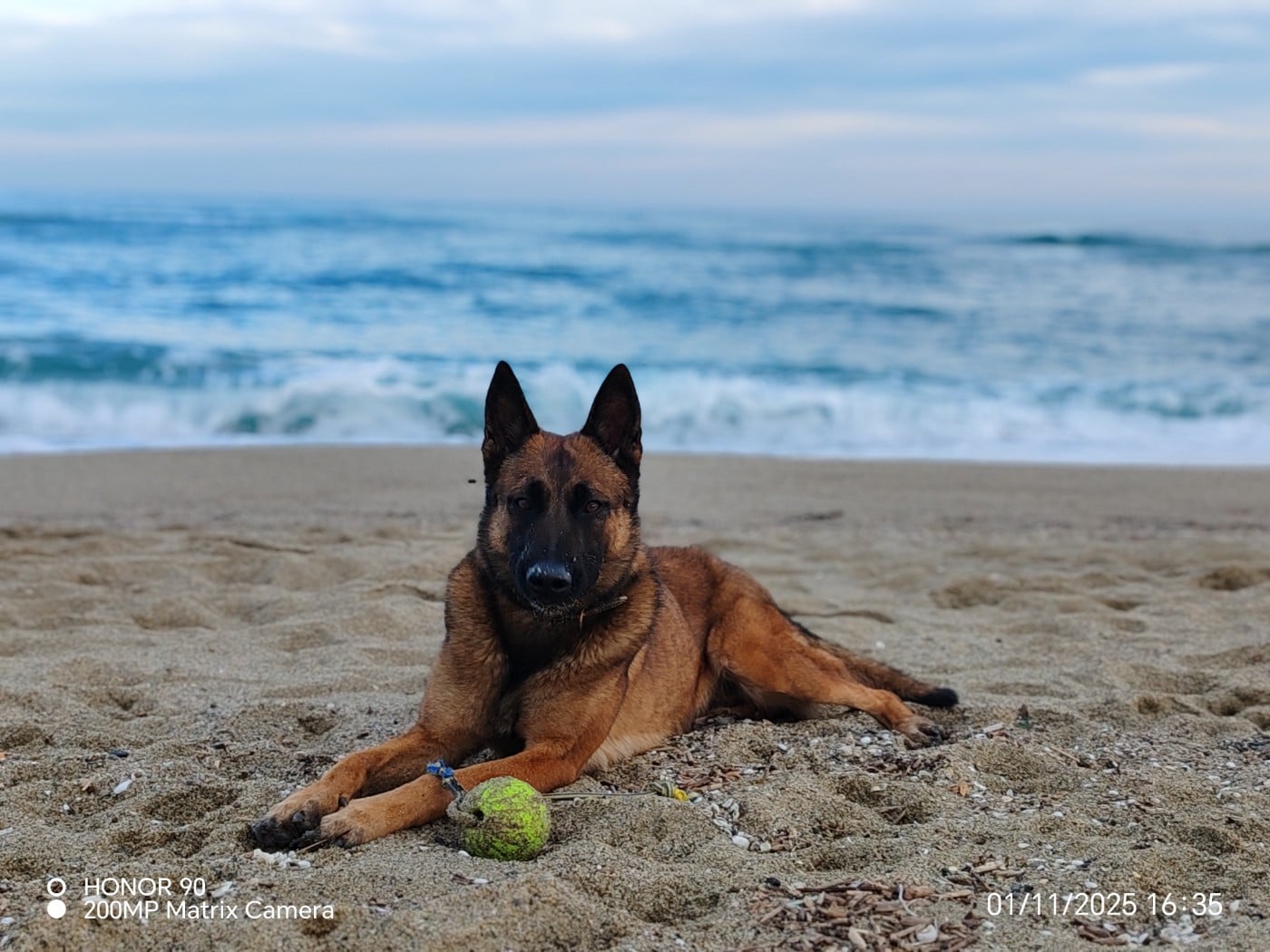 Telsy pop vom Schloss Rickens