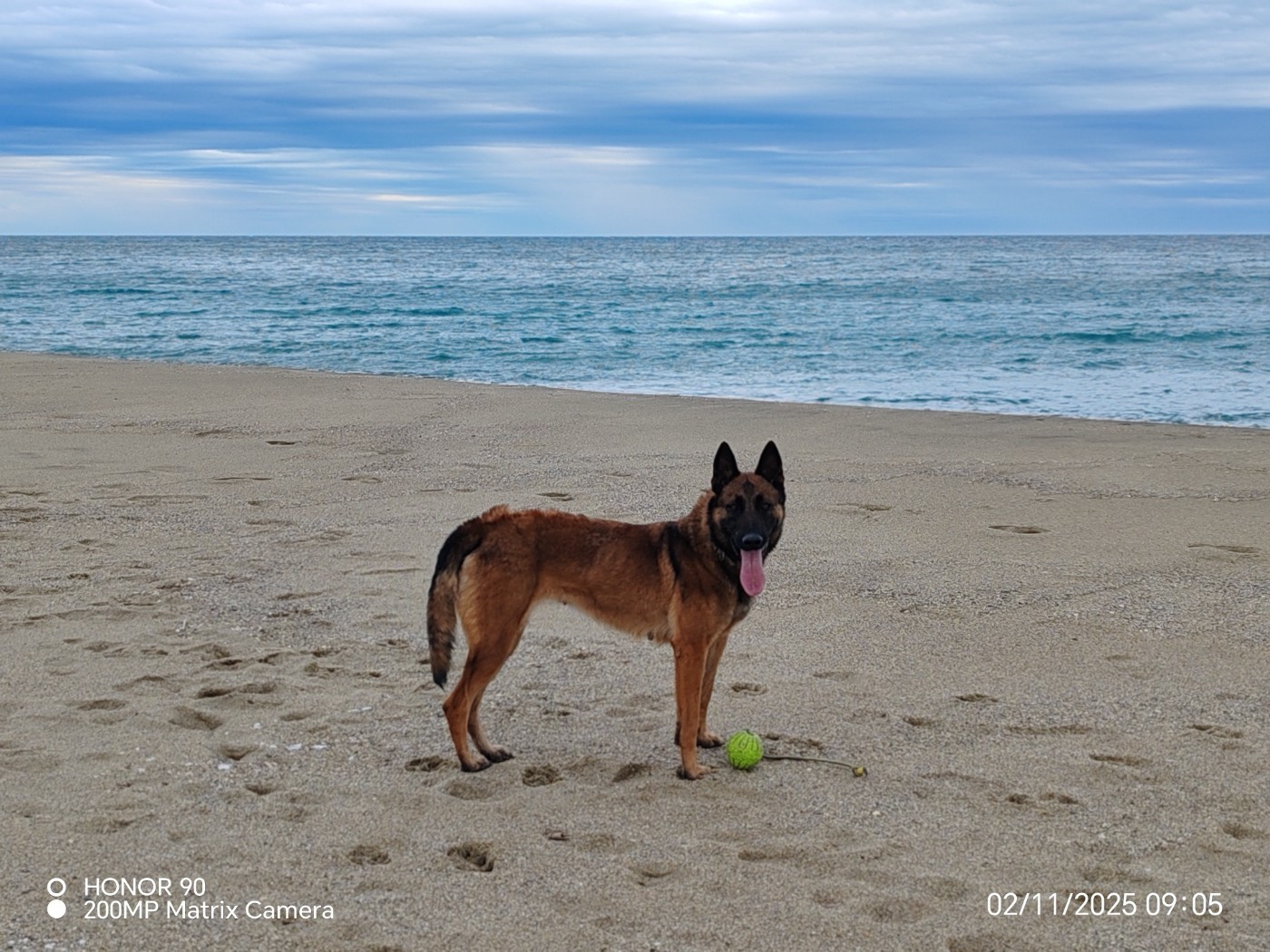 Telsy pop vom Schloss Rickens