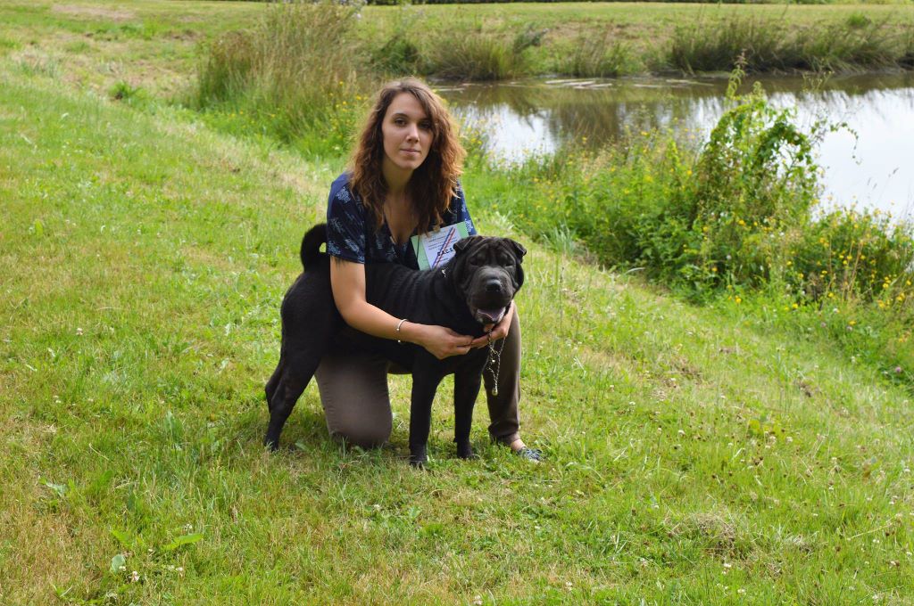 Leveinard De Shapeirlipopette - CACS - Meilleur de RACE