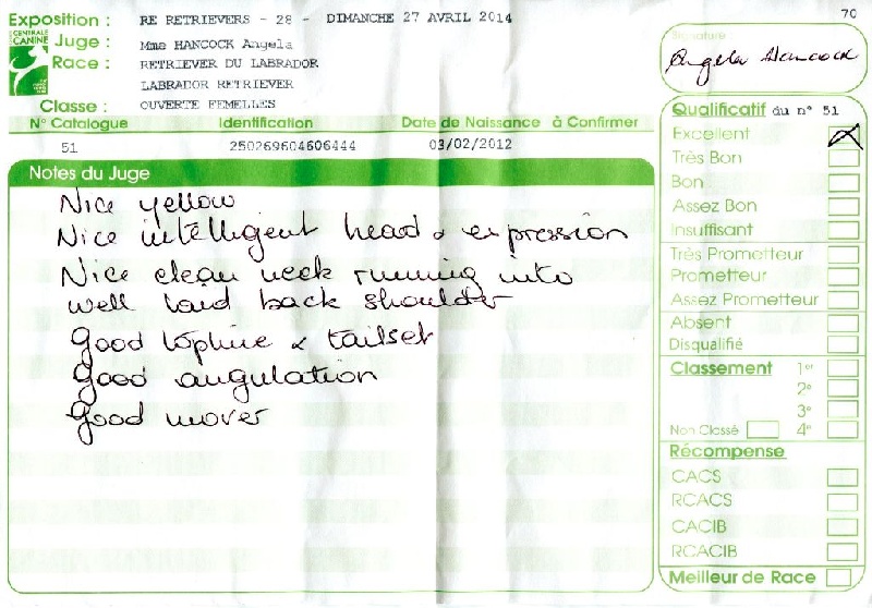 Hermione du Plateau Verdoyant - Excellent