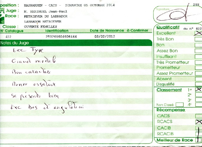 Hermione du Plateau Verdoyant - 1ère Excellent en classe ouverte