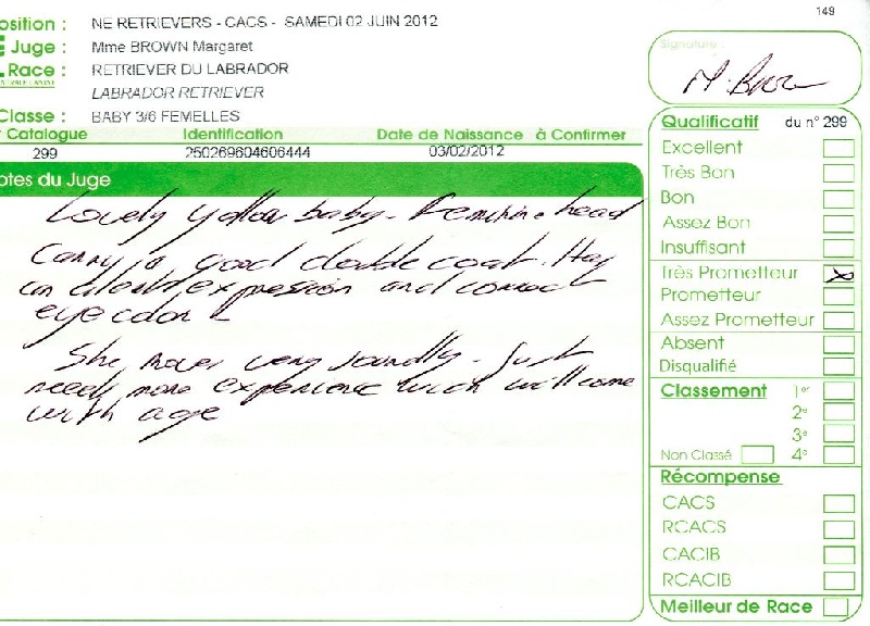 Hermione du Plateau Verdoyant - Très Prometteur en classe Baby