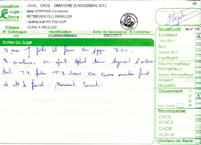 Hermione du Plateau Verdoyant - 2ème Excellent en Classe Jeune