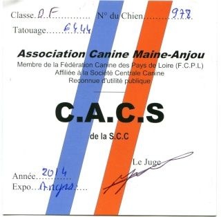 Hermione du Plateau Verdoyant - CACS