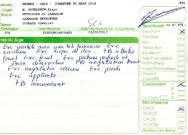 Hermione du Plateau Verdoyant - 1ère Excellent en Classe Ouverte