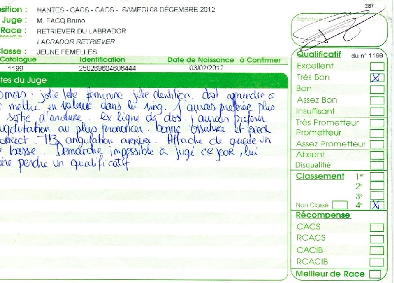 Hermione du Plateau Verdoyant - 4ème Très Bon en Classe Jeune